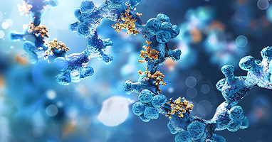 Stable Transfection for Recombinant Proteins and Antibodies
